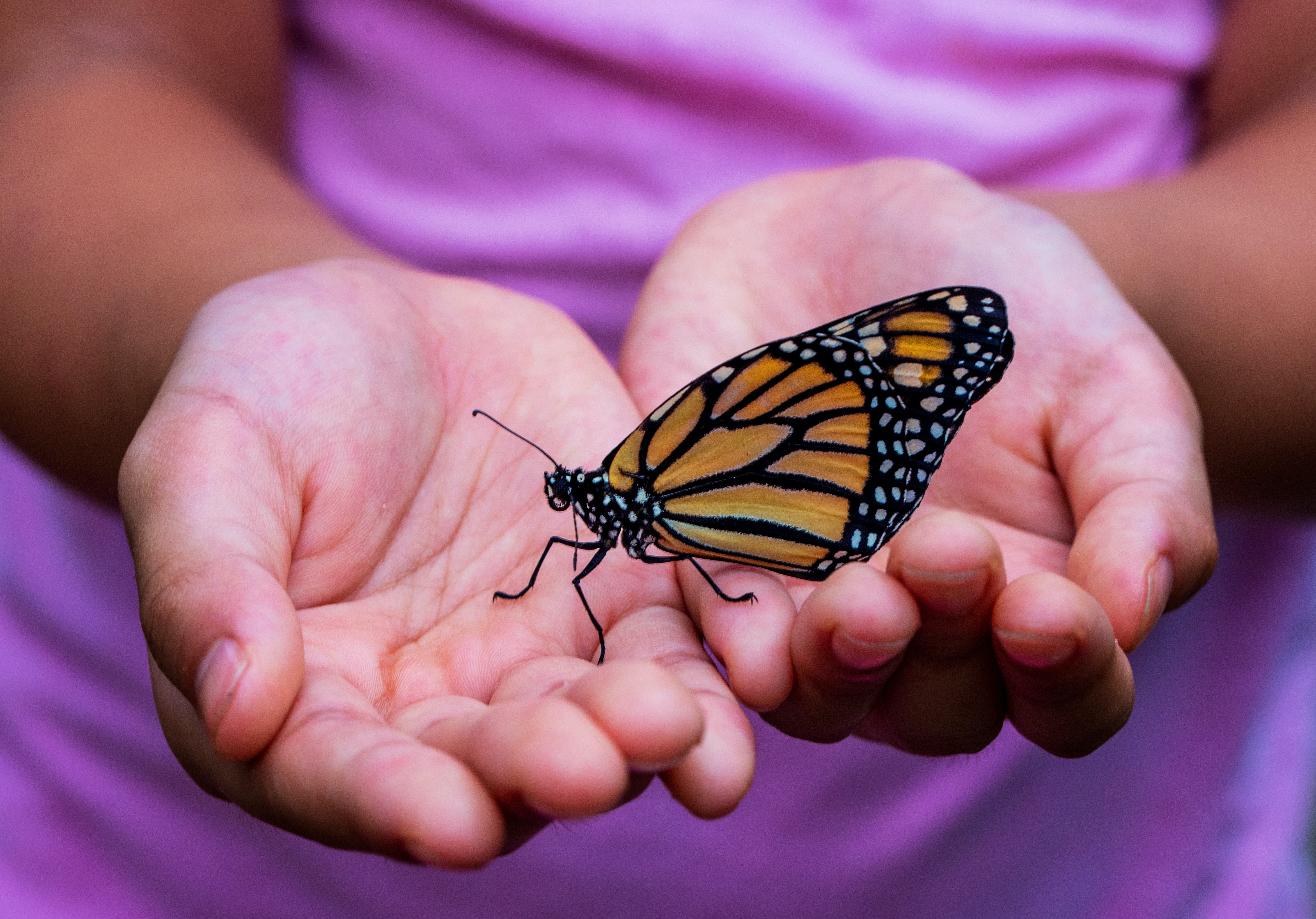 Girl with butterfly