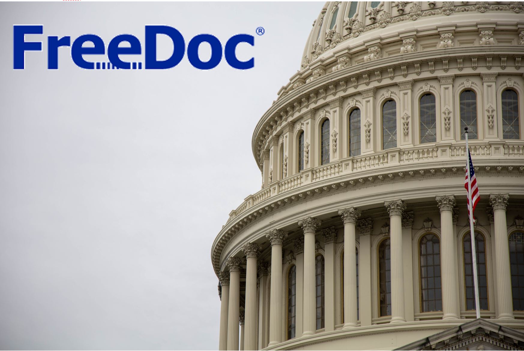 FreeDoc Logo