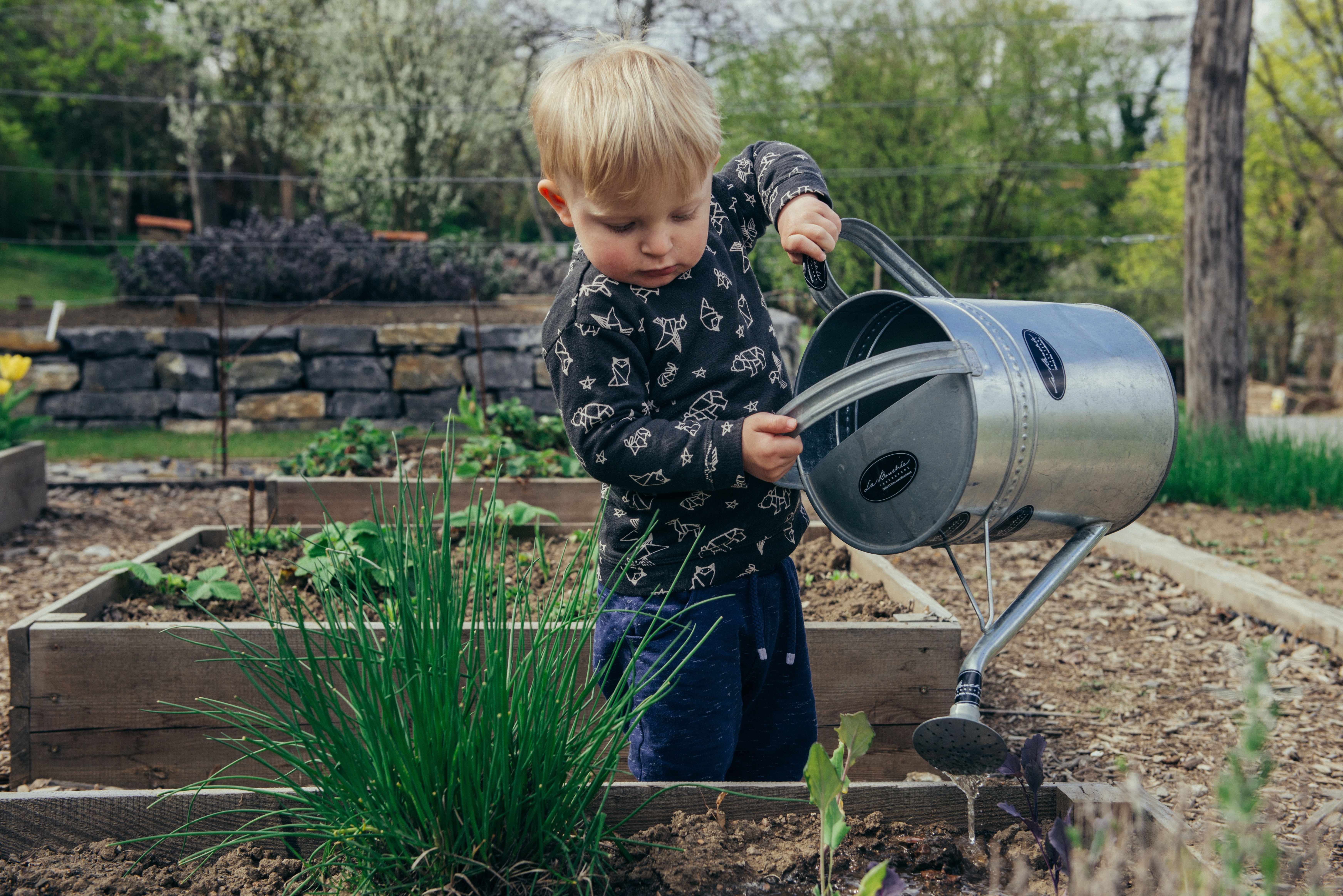 Child gardening