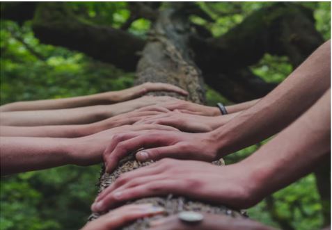 Hands on tree