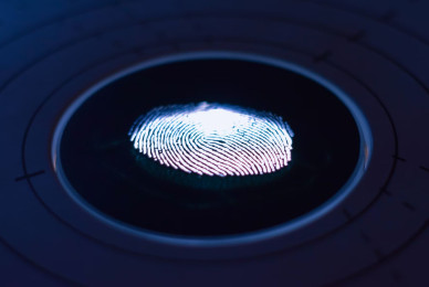 Image for Blog Posts - Integrity Networks – Putting the Grit in Integrity to Keep You Safe!