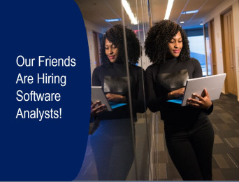 Image for Blog Posts - Calling All Software Analysts!