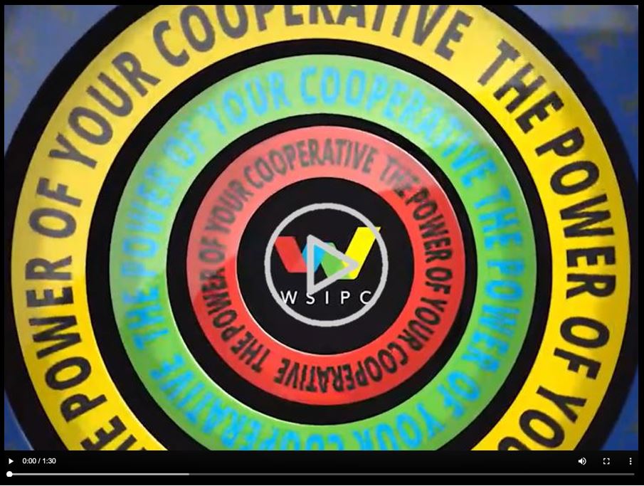 The Power of Your Cooperative Video